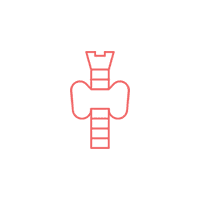Endocrinology icon